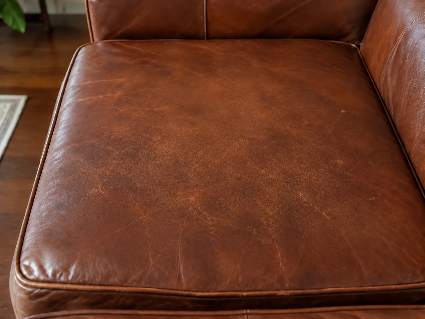 Illustrative view of the sun-faded leather with restored color