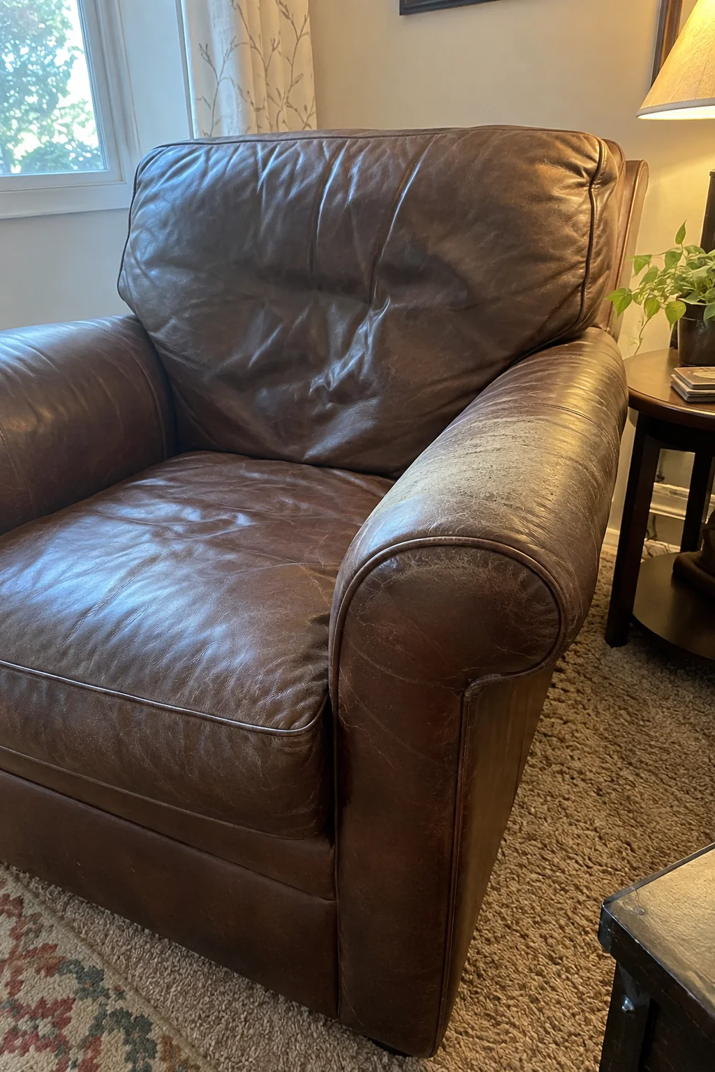 Brown armchair illustrative preview before cleaning